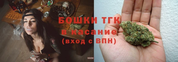 ГАЛЛЮЦИНОГЕННЫЕ ГРИБЫ Краснотурьинск