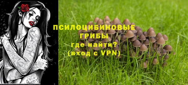 ГАЛЛЮЦИНОГЕННЫЕ ГРИБЫ Красноперекопск