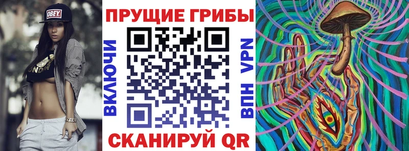 это телеграм  Нерчинск  Псилоцибиновые грибы ЛСД  закладки 